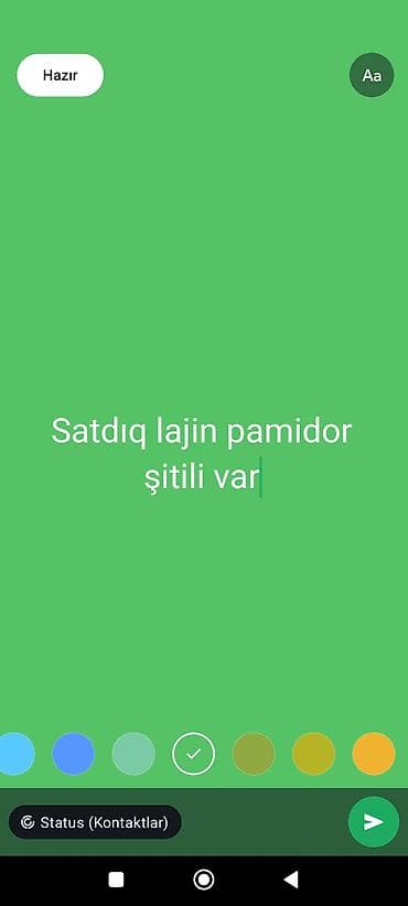 Məhsul: Lajın pomidor şitili