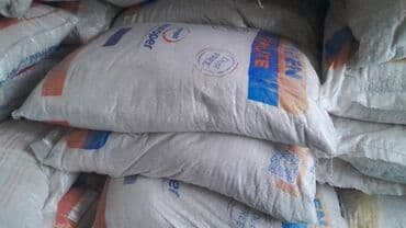 Bitki ekininde etibarli vadite torpaqda koklerin inkiwafini