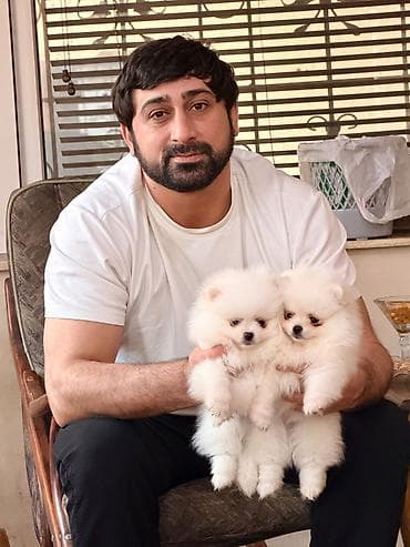 pop it: Şpitz, 2 ay — 8