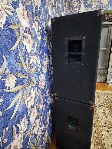 Mikrofonlar: - Hər modulda: 1 ədəd iri diametrli aşağı tezlikli dinamik (təxminən — 3