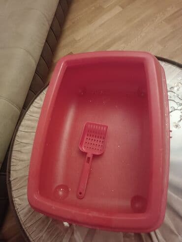 Pişik qum qabı, təzədir