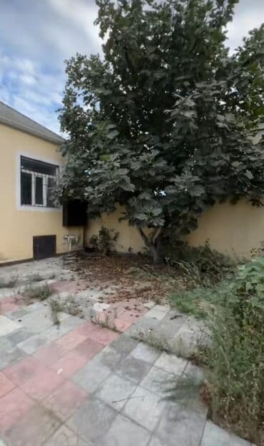 Kirayə evlər: Binəqədi qəs. 3 otaqlı, 100 kv. m, Yeni təmirli — 4