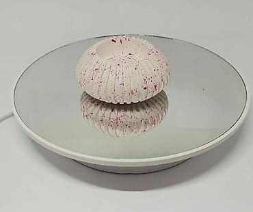 Stend vitrinləri: Topdan satış 1 azndan başlayan qiymətlər ilə Əlaqə nömrəsi — 6