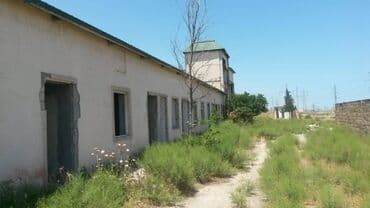 binə qəsəbəsi: 200 sot, Makler, Kupça (Çıxarış) — 25