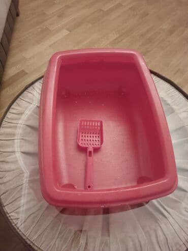 pişik qum qabı: Pişik qum qabı, təzədir — 4