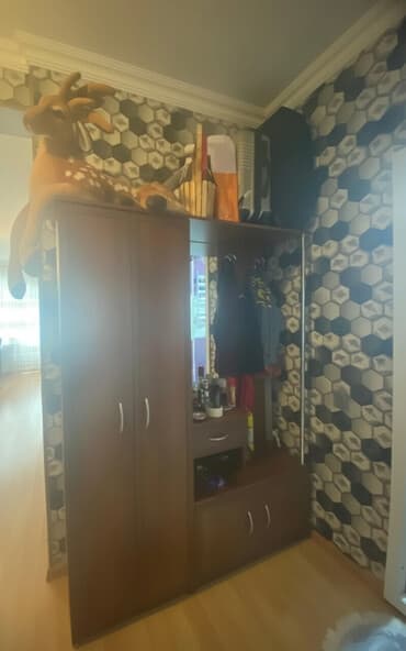 kombi üçün şkaf: İşlənmiş, Açılan, 2 qapılı Düz dolab, Dəhliz dolabı — 2