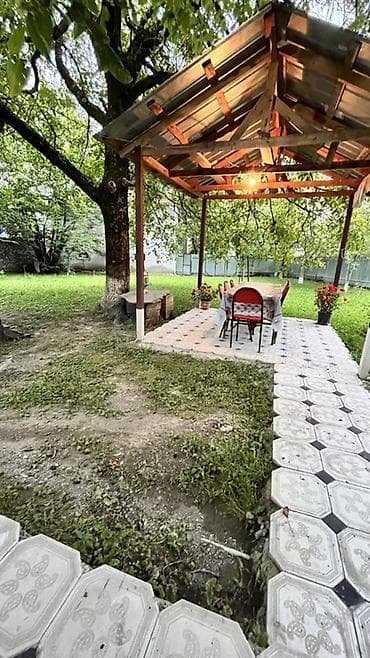 serifzadede satilan evler: Qəbələ bölgəsində geniş həyətli, meyvə ağacları olan həyət evi kirayə — 1