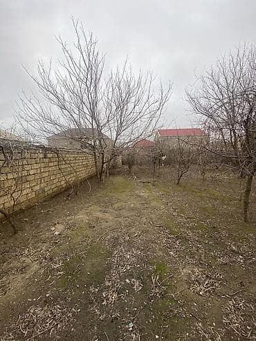 torpaqlarin satisi: Tikinti — 6