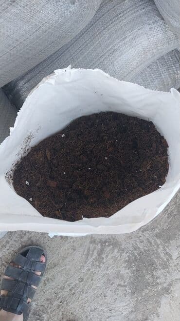 yonca toxum: Torflarin satişi balaken ekolay kkokavit 250litrlik xaricden gelen — 2