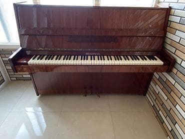 akustik gitara qiymetleri: Piano, Belarus, Akustik — 2