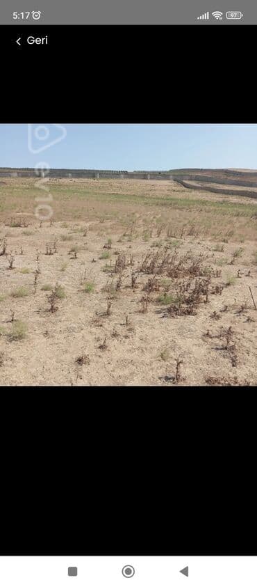 goradil torpaq satilir: 41 sot, Kənd təsərrüfatı, Mülkiyyətçi, Kupça (Çıxarış) — 10