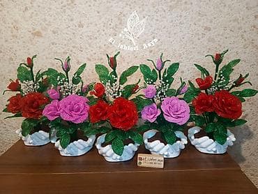 Çöl bitkiləri: Muncuqdan el ishleri — 1