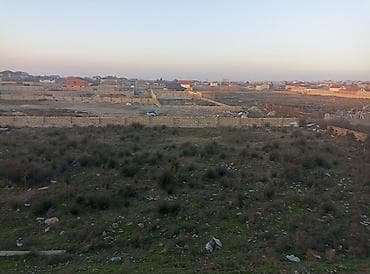 gen: 12 sot, Tikinti, Barter mümkündür — 1