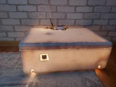 mini evler: Ev tipli inkubator – köpük (penoplast) korpuslu, elektriklə işləyən — 1