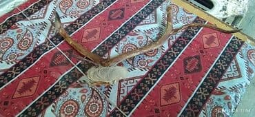 yağlı kağız qiyməti: Qiymət 150azndır qiymətdə edirim olacağ — 2