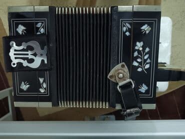 Akkordeonlar: Akustik Akkordeon — 2