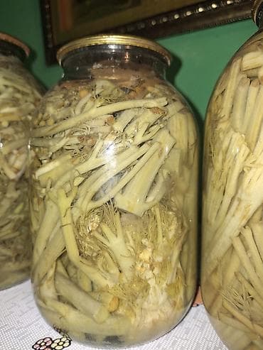 yun xalca: Əlaqə- 070-901-81-91 Whatçap Aktiv — 3