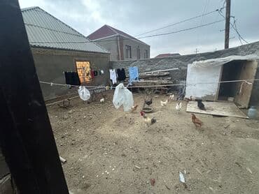 a frame evlər kirayə: Satılır: Mənzil (şəkillərdə göstərilən) - Plan: 2 otağa çevrilə — 30