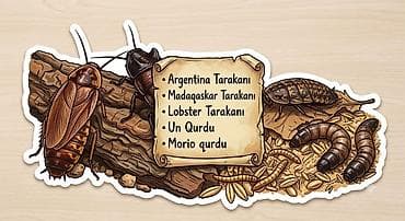 turac quş: Canlı yem satışı – sürünənlər, amfibiyalar, quşlar və akvarium — 2