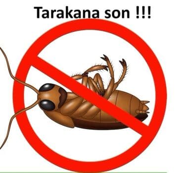 Bütün növ həşəratlara qarşı dərmanlama işləri aparırıq. Gördüyümüz hər lalafo.az -da Bütün növ həşəratlara qarşı dərmanlama işləri aparırıq. Gördüyümüz hər