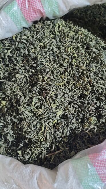 dibçək gülləri satışı: Qara çay yarpağı – iri dənəli, təbii qurudulmuş - Məhsul növü: qara — 5