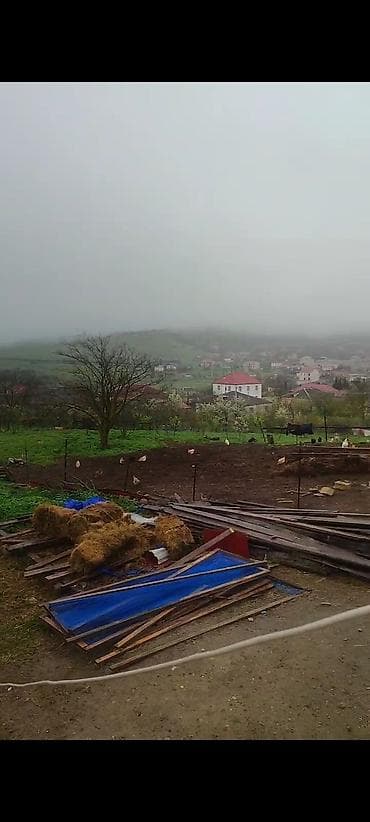 ev alqi satqisi zabrat 1: 20 sot, Kənd təsərrüfatı — 3