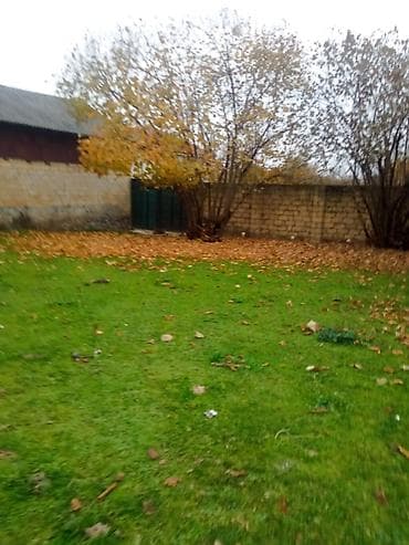 сад: 12 соток, Для строительства, Собственник, Купчая — 1