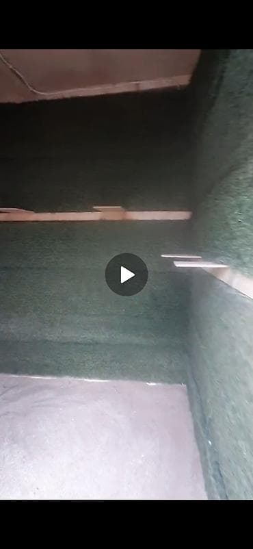 bulbul quşu: Hun 1.52 uzun 1.52 en 1.05 isteyen vap catda yazsin tecili satilir — 3