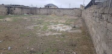 ramana gülçülük sovxozu: 6 sot, Kənd təsərrüfatı, Barter mümkündür, Bələdiyyə — 1