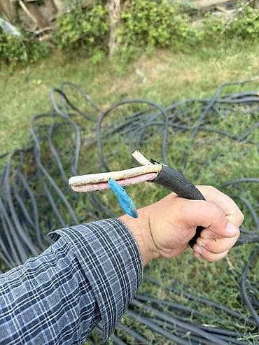 Transformator xəttindən yaşayış evinə çəkilmiş elektrik kabeli lalafo.az -da Transformator xəttindən yaşayış evinə çəkilmiş elektrik kabeli