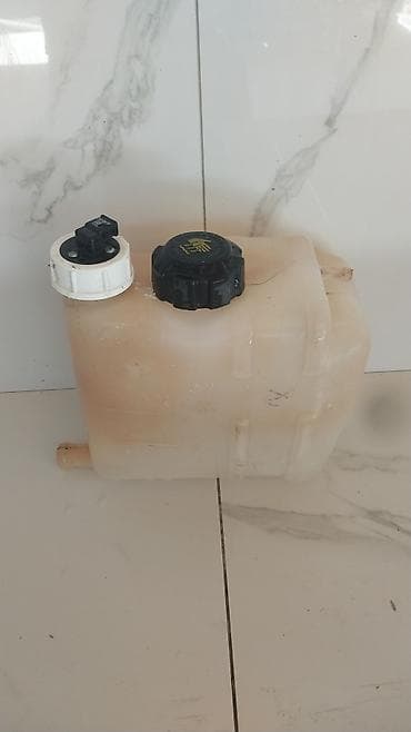 015in zavod üsdündə gelendi arginaldi