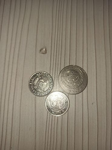 Kırqız som
100,5,1