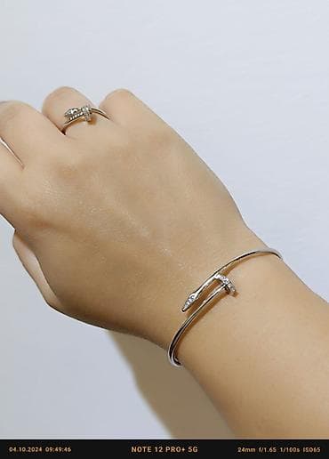 pandora qutu: Bilərzik, Pandora, Gümüş, Pulsuz çatdırılma, Ödənişli çatdırılma, Rayonlara çatdırılma — 2