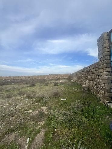 61 sot, Biznes üçün — 4