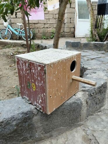 goyərcin yuvaları: Kerella yuva 7 eded 4 Iran qefesi 10 eded 10 azn Balaca yuva 47 eded — 7