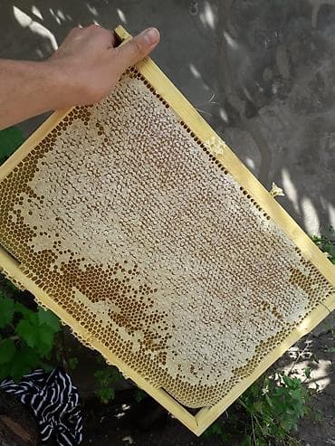 İçkilər: Süzülmüş təmiz dağ balı. Öz istifadəmiz üçün saxlayırıq artıq olanı — 4