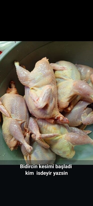 cins inekler azerbaycanda: Məhsul: Bildirçin və bildirçin əti Təsvir: - Təzə kəsilmiş bildirçin — 1