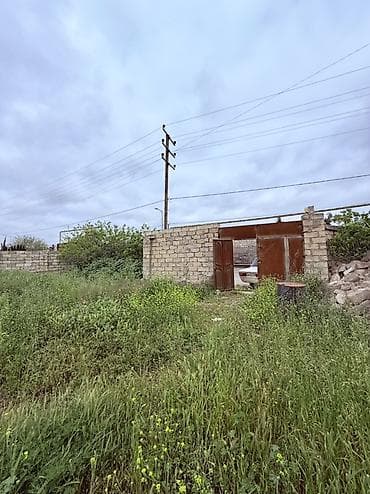 12 sot, Tikinti, Kupça (Çıxarış) — 4