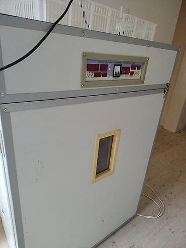 Səbətləri yoxdu qiymət 550m söndü