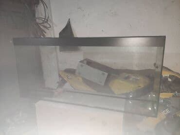 satılık akvaryum balıkları: Salam ideal veziyyetdedi, 133*60*27. 215 litre tutur — 1