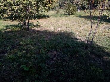 lokbatanda torpaq satilir 2022: 10 sot — 5