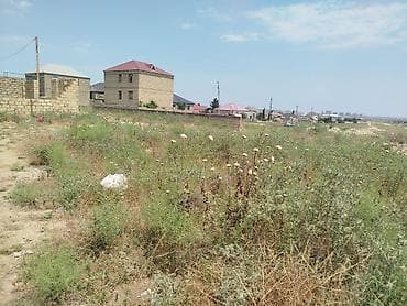 Torpaq: 5 sot, Kupça (Çıxarış) — 3
