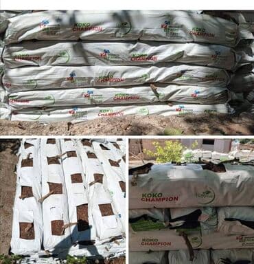 Digər gübrə: Kakabitler. Koko CHAMPİON Meşokun Biri 40 qəpik. Meşokda 2 kq olur — 8