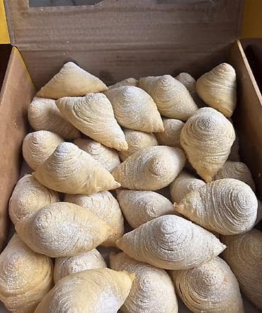 decor up qaymaq harda satilir: Şirniyyat assortimenti: - Bakı paxlavası və Türk paxlavasi: Hər dilim — 8