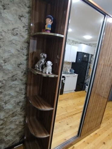 вешалка в прихожую настенная: Б/у, 2 двери Прямой шкаф, Шкаф в прихожей — 1