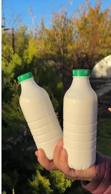 oglan sekili: Təbii keçi südü və qatığı - Gündəlik sağılmış təzə keçi südü - Süd və — 3