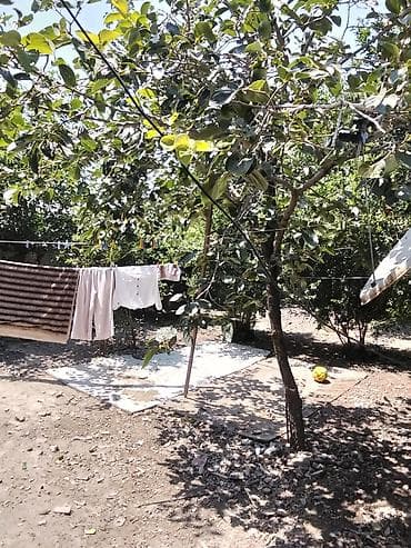 Həyət evi alıram: 3 otaqlı, 80 kv. m, Orta təmir — 4