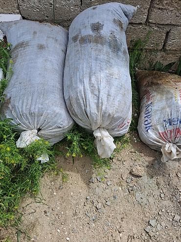 torpaq peyin: Gubre istiyenler ücün ideal peyin inek peyinidir coxdanın peyinidir — 4