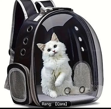 ev seraitinde cuce saxlamaq: Hər üç məhsul yenidir . üçünu alana endirimle 70 AZN .kim isdese — 3