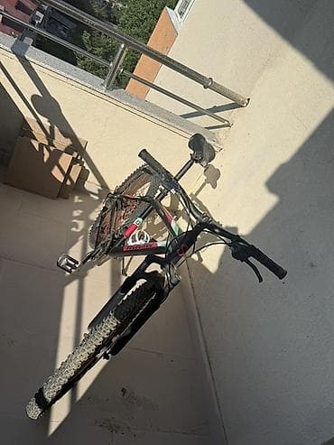 velosiped kameri: Velocruz dağ velosipedi - Tip: Dağ/MTB - Çərçivə: Velocruz alüminium — 1